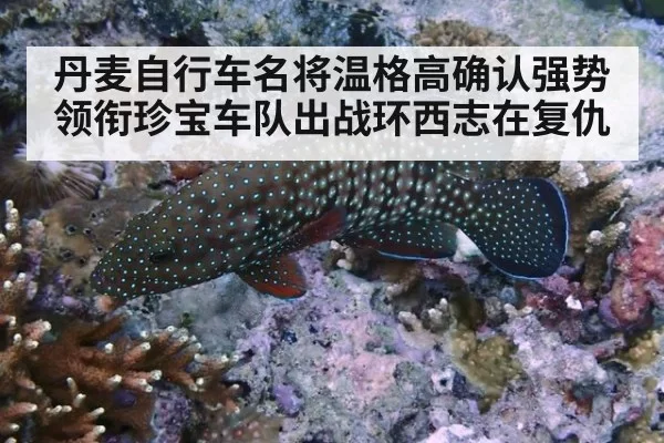 丹麦自行车名将温格高确认强势领衔珍宝车队出战环西志在复仇