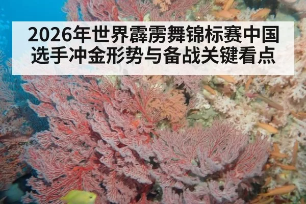 2026年世界霹雳舞锦标赛中国选手冲金形势与备战关键看点